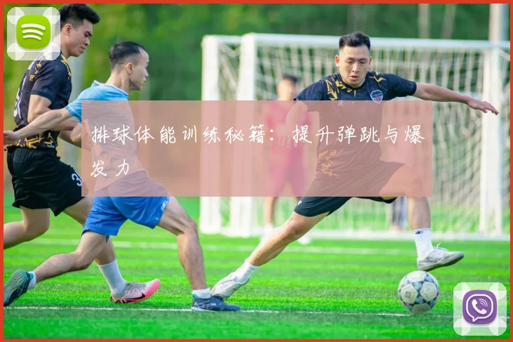 排球体能训练秘籍：提升弹跳与爆发力