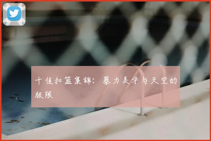 十佳扣篮集锦:暴力美学与天空的极限