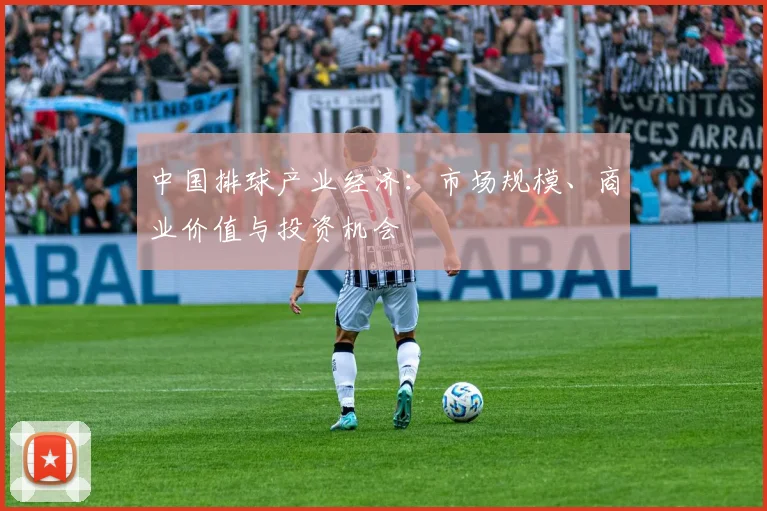 中国排球产业经济:市场规模、商业价值与投资机会